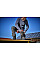 Шуруповерт-дрель ударная аккумуляторная Einhell Professional TP-CD 18/120 Li-i BL - Solo PXC 18В 120Нм 1.71кг без АКБ и ЗП