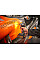 Шуруповерт-дрель ударная аккумуляторная DeWALT McLaren F1 TEAM LIMITED EDITION 18В 2х5А·час 205Нм 1000-2800-3250об/мин кейс ЗП 1.0кг