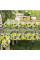 Скатертина ARDESTO Sicilian lemons 120х140см, 100% поліестер, зелений