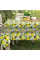 Скатертина ARDESTO Sicilian lemons 140х180см, 100% поліестер, зелений