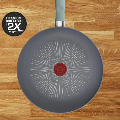 Сковорода Tefal Halo EUCALYPTUS, 24см, алюміній, бакеліт, сірий