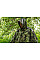 Дощовик тент Neo Tools Camo, 3в1, 124х142см, поліестер 210D, камуфляж