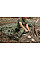 Дощовик тент Neo Tools Camo, 3в1, 124х142см, поліестер 210D, камуфляж