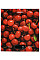 Весы ARDESTO кухонные CHERRY, 5кг, AAAx2 в комплекте, стекло, многоцветный