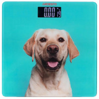 Весы ARDESTO напольные Dog, 150кг, AAAx2 в комплекте, стекло, многоцветные.