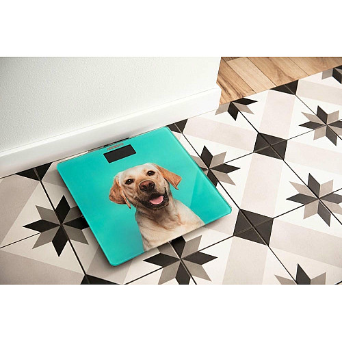 Весы ARDESTO напольные Dog, 150кг, AAAx2 в комплекте, стекло, многоцветные.