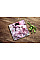 Весы ARDESTO напольные Peonies, 150кг, AAAx2 в комплекте, стекло, многоцветные.