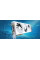 Відеокарта ASUS GeForce RTX 5070 12GB GDDR7 OC PRIME-RTX5070-O12G-WHITE білий