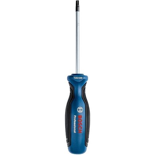 Викрутка Bosch Professional Torx T25x100мм