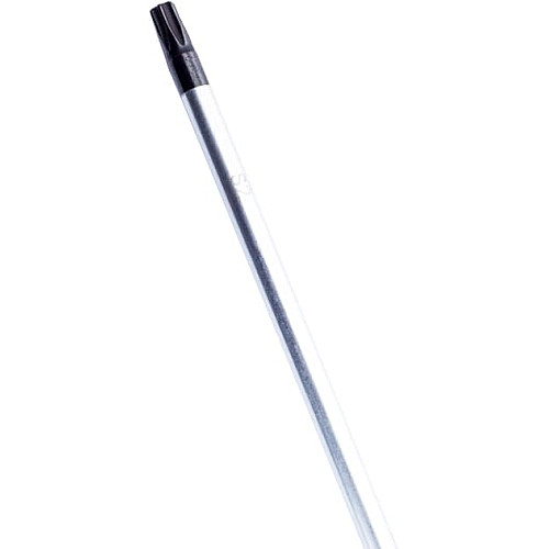 Викрутка Bosch Professional Torx T25x100мм