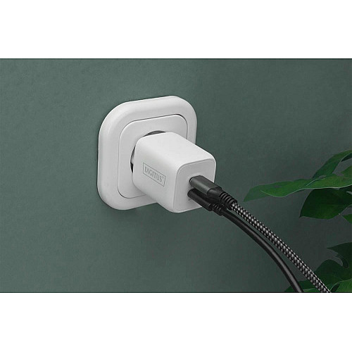 Зарядное устройство DIGITUS 2хUSB-C, 65W, GaN