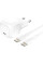Зарядний пристрій мережевий Belkin 20Вт USB-С PD PPS, кабель USB-С > USB-C, 1м, PVC, білий