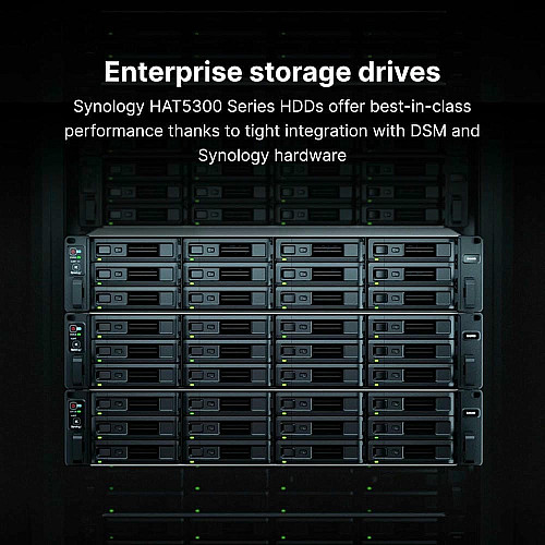 Жорсткий диск Synology 3.5