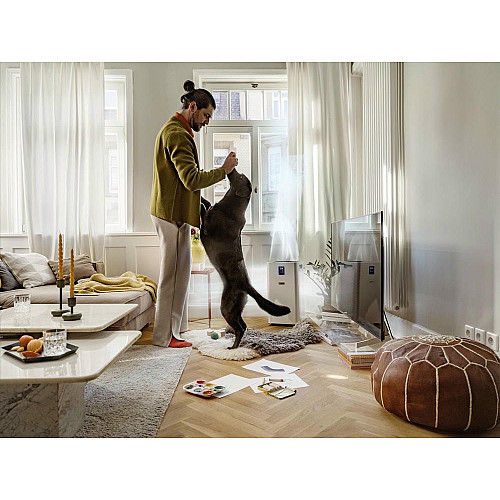 Воздухоочиститель Karcher AF 50, 50м2, 520м3/час, дисплей, 2 HEPA фильтры, 4 режима, инд. забр-ние, белый