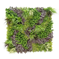 Декоративне модульне покриття Engard Фітостіна Monet Gardens 100х100 см (GCK-25)