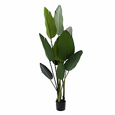 Штучне рослина Banana Tree 155 см Engard (TW-09)