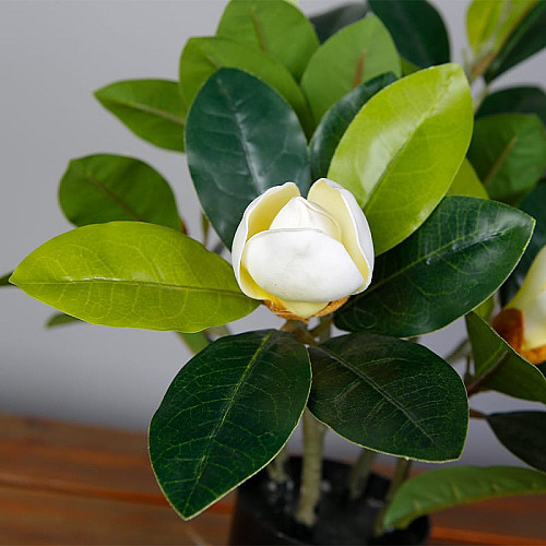 Искусственное растение Magnolia / Магнолия 40 см Engard (DW-16)