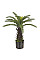Штучна рослина Cycas Palm / Пальма 60 см Engard (DW-25)