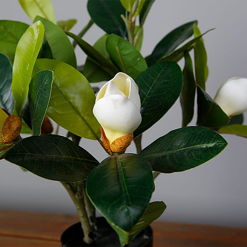 Искусственное растение Magnolia / Магнолия 40 см Engard (DW-16)