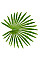 Искусственное растение Fan Palm / Пальма 120 см Engard (DW-27)