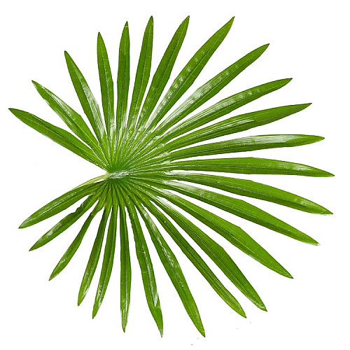 Искусственное растение Fan Palm / Пальма 120 см Engard (DW-27)