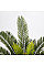 Штучна рослина Cycas Palm / Пальма 60 см Engard (DW-25)