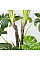 Штучна рослина Monstera  / Монстера 165 см Engard (DW-22)
