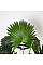 Искусственное растение Fan Palm / Пальма 95 см Engard (DW-26)