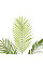 Штучна рослина Engard Areca Palm / Пальма 150 см DW-30