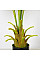 Искусственное растение Fan Palm / Пальма 95 см Engard (DW-26)