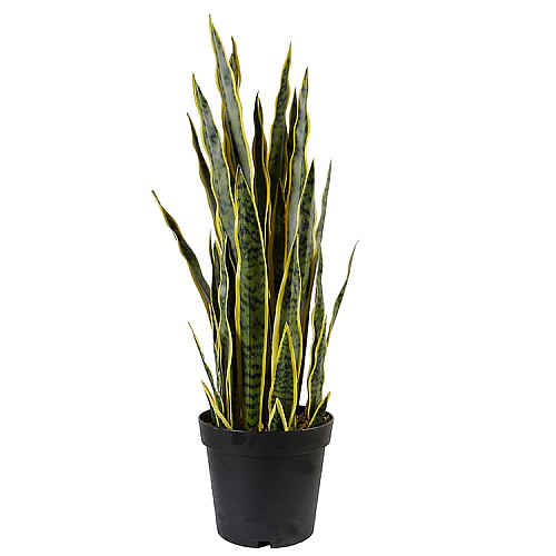 Искусственное растение Sansevieria / Сансевиерия 65см Engard (DW-12)
