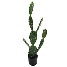 Штучна рослина Engard Cactus, 75 cм (TW-41)