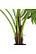 Искусственное растение Fan Palm / Пальма 120 см Engard (DW-27)