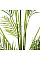Штучна рослина Engard Areca Palm / Пальма 150 см DW-30