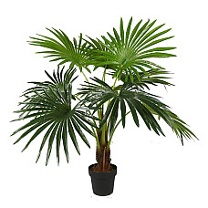 Штучна рослина Fan Palm / Пальма 120 см Engard (DW-27)