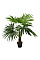 Искусственное растение Fan Palm / Пальма 120 см Engard (DW-27)