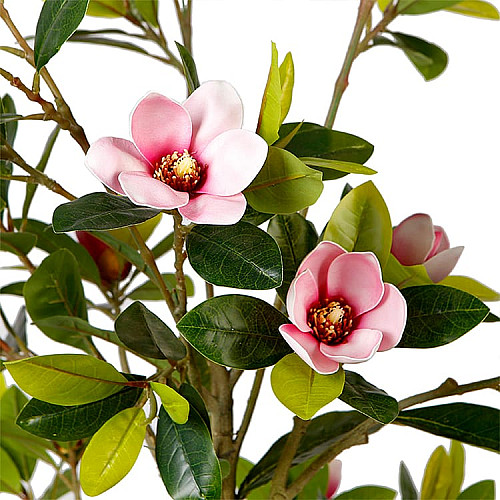 Искусственное растение Magnolia / Магнолия 150 см Engard (DW-19)