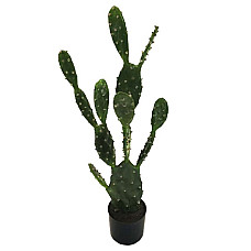 Штучна рослина Engard Cactus, 95 cм (TW-42)