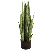 Штучна рослина Sansevieria / Сансевієрія  65см Engard (DW-11)