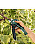 Секатор акумуляторний Bosch EasyPrune New (06008B2100)