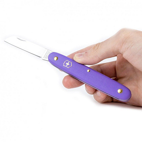 Ніж Victorinox Floral садовий 100мм/1функ/матовий фіолетовий, блістер