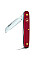 Ніж Victorinox Floral садовий 100мм/1функ/матовий червоний