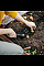 Посадочная сапа Fiskars Solid