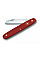 Ніж Victorinox Floral садовий 100мм/1функ/матовий червоний