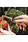 Нож садовый складной Fiskars X-series K80 (1062819)
