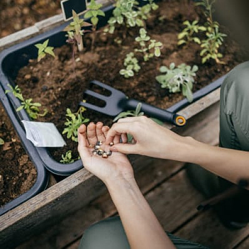 Культиватор Fiskars Solid