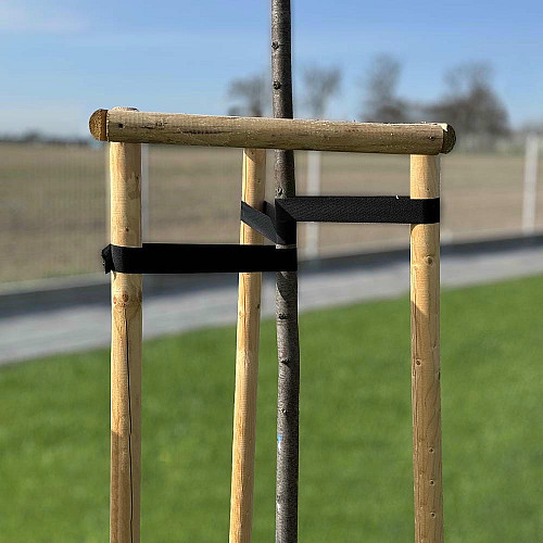 Стрічка для стабілізації дерев, TREE SUPPORT, 40 мм x 25 м, TYTS4025/BK