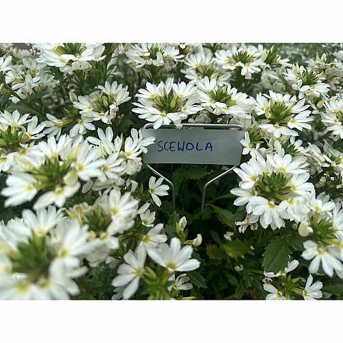 Табличка для растений 25x6,6 см, 10 шт, алюминий, TYE256622AL/10B