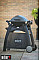 Візок для Weber Q 2000
