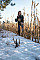 Бінокль Vortex Triumph HD 10x42 (TRI-1042)